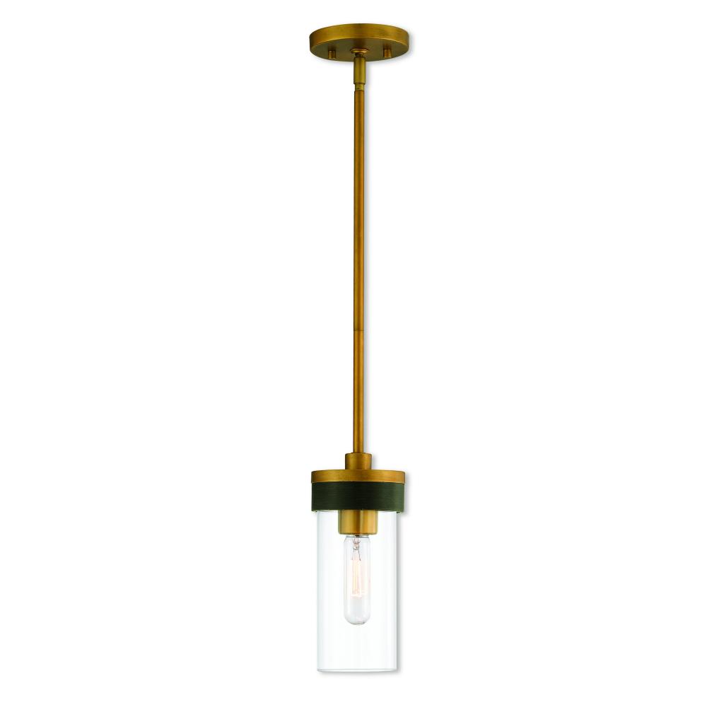 1 Lt AGD Mini Pendant