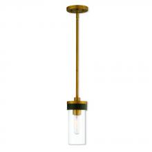 Livex Lighting 41071-26 - 1 Lt AGD Mini Pendant