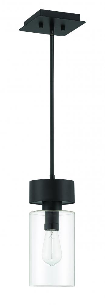 1 Light Pendant
