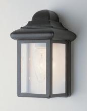 Trans Globe 44835 RT - Vista 1-Light,Clear Glass Sides with Metal Pagoda Top, Pocket Wall Lantern