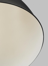 TP1051AI_2_01.jpg
